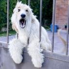 5c8ad500230000dd0423cab9