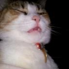 5c8ad5003b000072066ca828