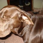 5c8ad5013b000072066ca82a