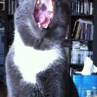 5c8ad5012300005400e741fd