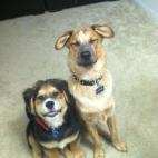 5c8ad5022000009d036fd54b