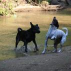 5c8ad5022400006c05a3c553