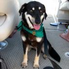 5c8ad502360000c81a6c2757