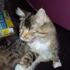 5c8ad503240000f7054c898f