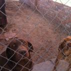 5c8ad5032300007f0123cabd