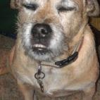 5c8ad5032300005400e74201