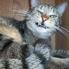 5c8ad5032000009d036fd54f