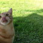 5c8ad504230000dd0423cac1