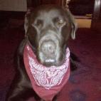 5c8ad505220000310019f5f4