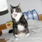 5c8ad506220000310019f5f6