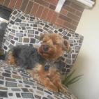 5c8ad5062400006c05a3c559