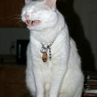 5c8ad507360000ba1a6c275e