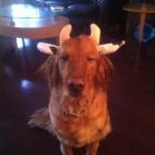 5c8ad507360000a61b6c2760