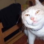 5c8ad507240000f7054c8997