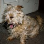 5c8ad5082400006b054c899a