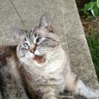 5c8ad508220000300019f5f8