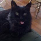 5c8ad508240000f404a3c55b