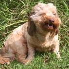 5c8ad5092000009e046fd556