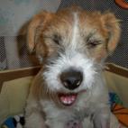 5c8ad5092500000704c9bb19