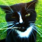 5c8ad509250000e203c9bb1b