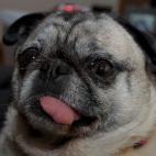 5c8ad50a240000f404a3c55f