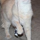 5c8ad50a360000a61b6c2764