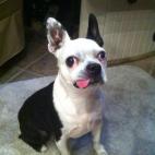 5c8ad50b3b000070066ca836