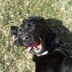 5c8ad50b2400006d054c899f