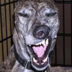 5c8ad50b24000093024c89a1