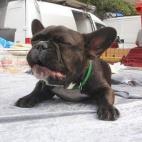 5c8ad50c2400004205a3c562