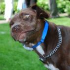 5c8ad50c2400004205a3c564