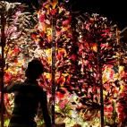 Un vendedor indio espera clientes para venderles plantas y flores decorativas en Nochebuena, antes de las festividades de Navidad y Año Nuevo, en Bombay (India). A pesar de que los cristianos son una minoría en comparación con la gran poblaci...