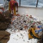 Cuando la red de arrastre se abre, aparece el tesoro: deliciosos peces que terminarán en nuestra mesa y… numerosos residuos.