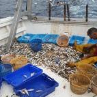 5c8a3e112300007f0122d894