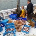 El pescado se deposita en sus correspondientes cajas, debe tener buen aspecto antes de llegar a la lonja, y los residuos pasan a colocarse en otro contenedor.