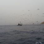 5c8a3e122400000a05a2d342