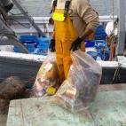 5c8a3e13260000ea04fe17d7