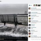 5c8ad21f240000f404a3bfff