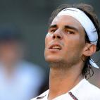 El año en el que Nadal lograba su séptimo Roland Garros y hacía historia, ha sido el año en el que el tenista ha tenido que dejar las pistas durante meses para tratarse de la lesión que sufre en su rodilla izquierda y que le hace jugar con ...