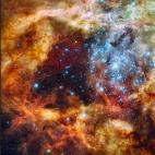 5c8ad622240000f404a3c751