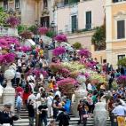 5c8ad6412400000a05a3c777