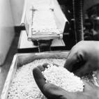 Es mejor que tomar ibuprofeno o algún antiinflamatorio. Pero sin abusar