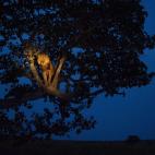 5c8ad7062300005400e74561