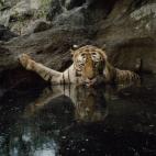 5c8ad7082400006b054c8d01