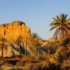 El medio señala que para los amantes de las aves es un sitio idílico.