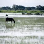 Es una de las zonas naturales de Espa&ntilde;a por excelencia y no pod&iacute;a estar fuera de esta lista: "El visitante se enfrenta a una extensa riqueza de ecosistemas que dir&iacute;ase un continente en s&iacute; mismas: una geograf&iacu...