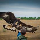 Compartido con Alemania, Arabia Saudita, Austria, B&eacute;lgica, Emiratos &Aacute;rabes Unidos, Francia, Hungr&iacute;a, Italia, Kazajst&aacute;n, Marruecos, Mongolia, Pakist&aacute;n. Portugal, Qatar, Rep&uacute;blica ...