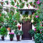 A&ntilde;o de inscripci&oacute;n: 2012