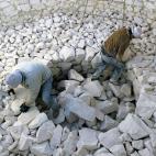 A&ntilde;o de inscripci&oacute;n: 2011