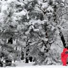 5c8ad8152300003000e74703